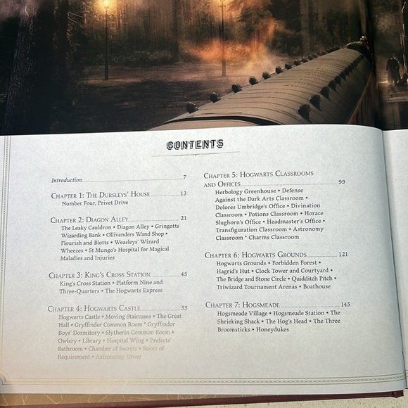 Harry Potter Magical Places from the Films Hogwarts, Diagon Alley & Beyond - Picture 15 of 17